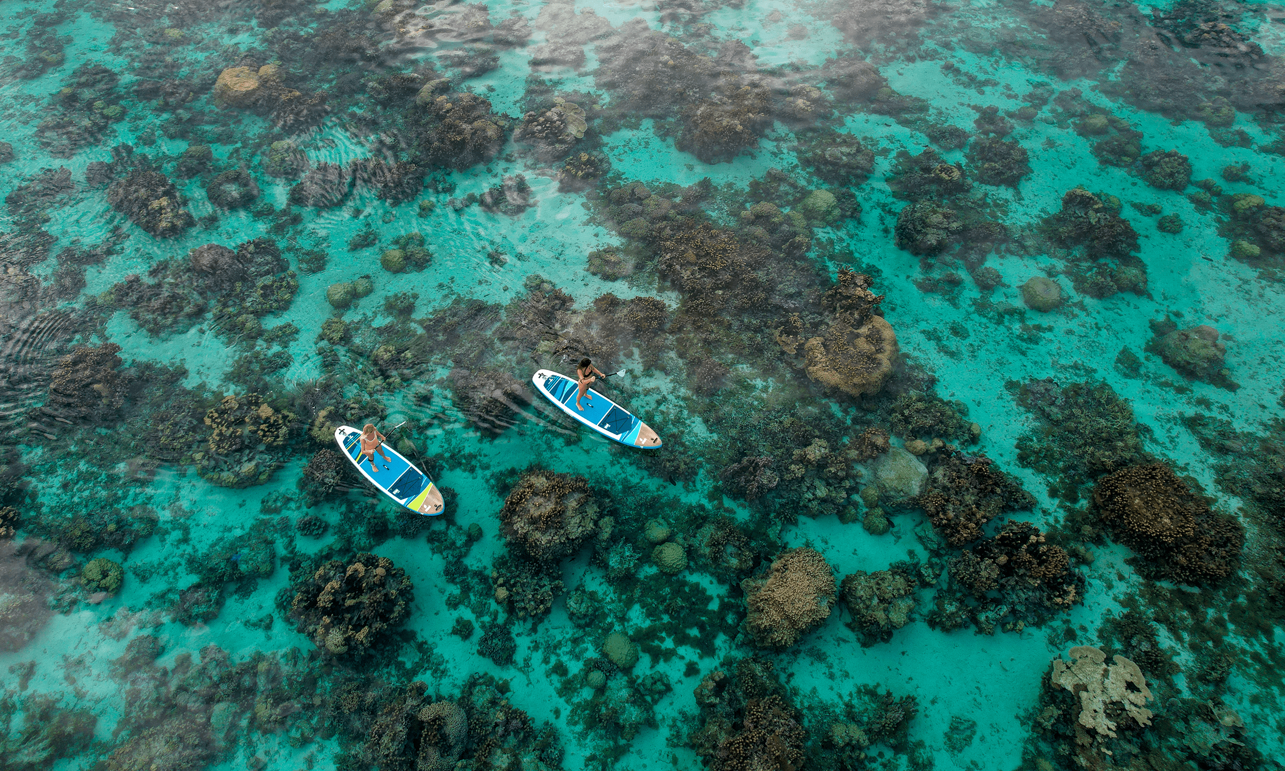 Explorers on TAHE SUP boards gliding over in crystal-clear turquoise water.