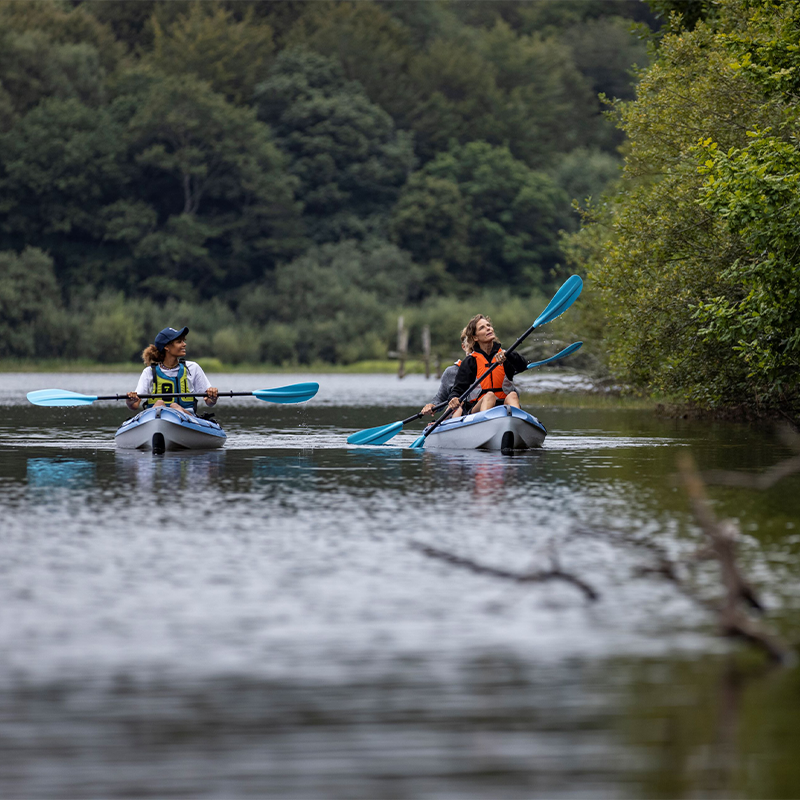 Family kayaking on a calm river with trees in the background