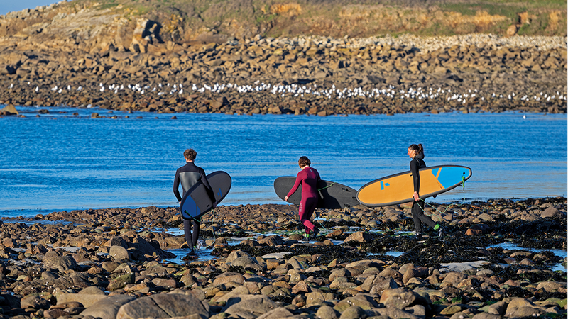 Three surfers with boards walking along a rocky shoreline with a coastal landscape in the background.